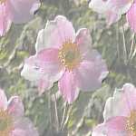 Background Tile 11