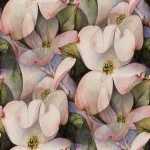 Background Tile 6