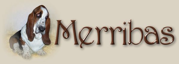 Merribas Header