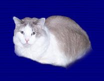 SmallPic