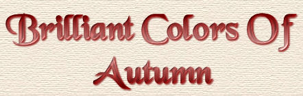 ColorsTitle