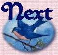 Next