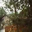 House Pic #3