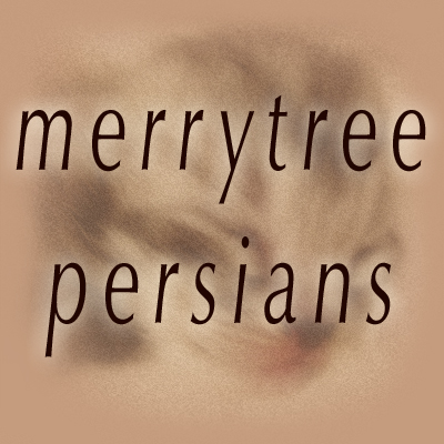 mainheader