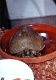 Cecil's Picture