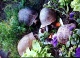  Chow Down!!