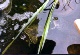  Lil Guy 4