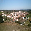 cortedopinto.JPG (112004 bytes)