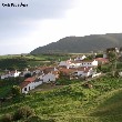 cortepaoeagua.JPG (48729 bytes)