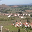 moreanes.jpg (119015 bytes)