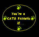 Think you may be obsessed? (This was the first obcessed page for CATS across the internet!)