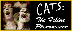 CATS: The Feline Phenomenon...