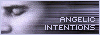 affiliate2.gif (4077 bytes)