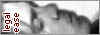 button1.jpg (1972 bytes)