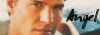 button20.gif (6469 bytes)