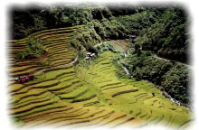 Hungduan, Banaue