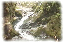 Mt. Kanlaon