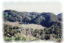Mt. Apo