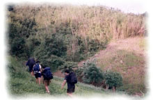 Mt. Kanumay Survey