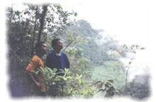 Mt. Malindang