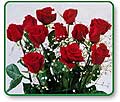 Proflowers