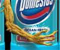 Print: Domestos poster
