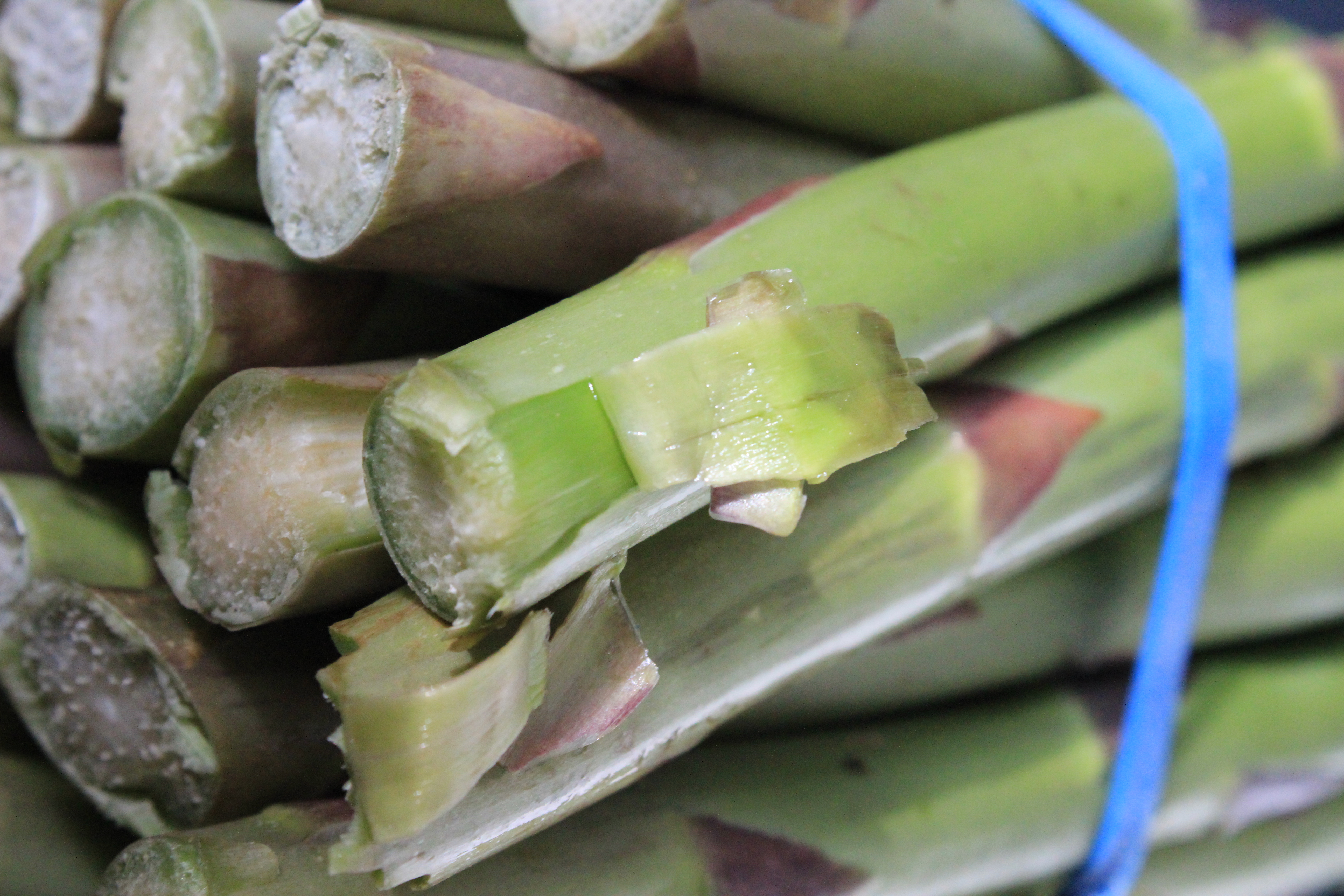 asparagus
