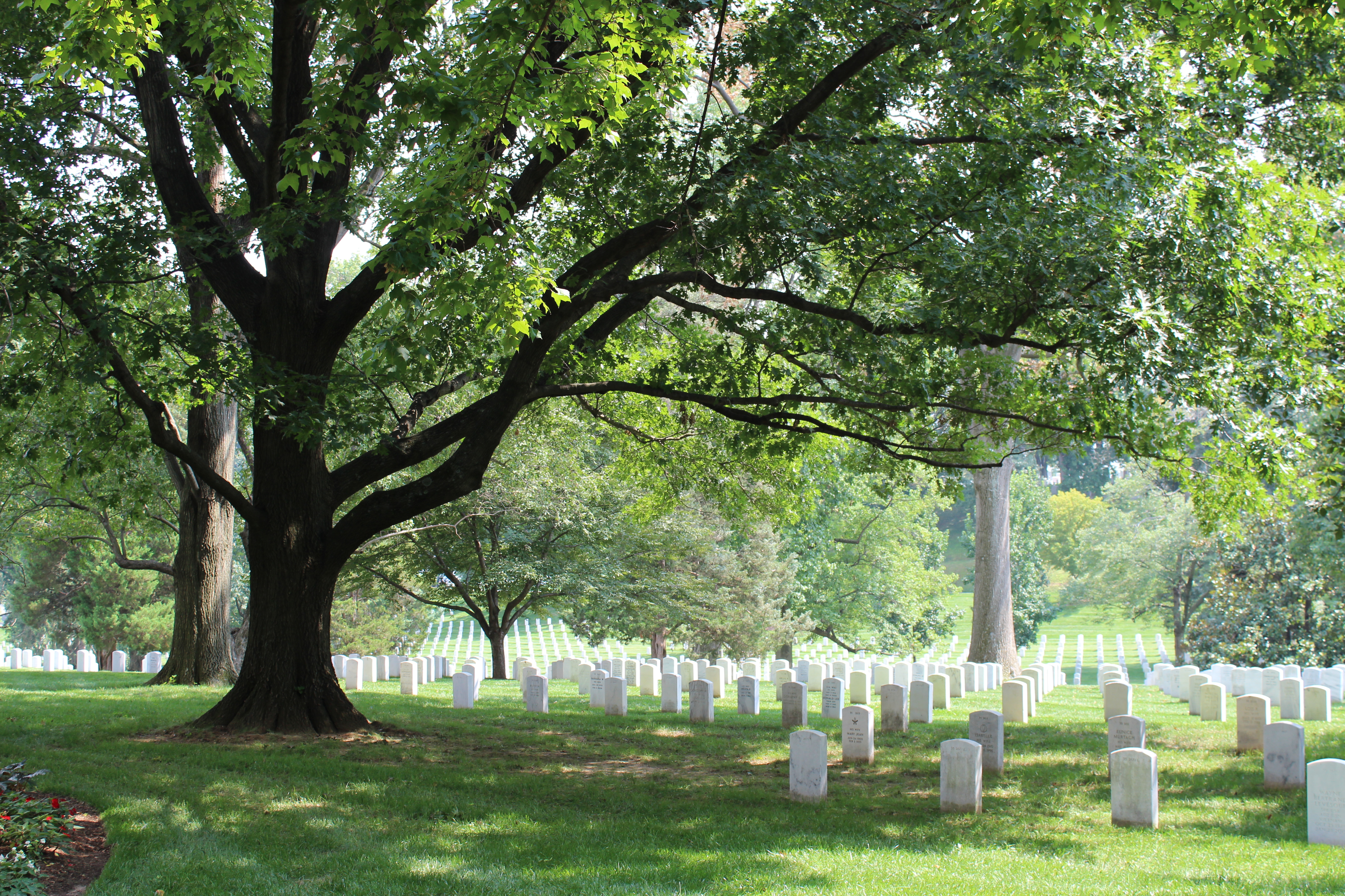cemetary