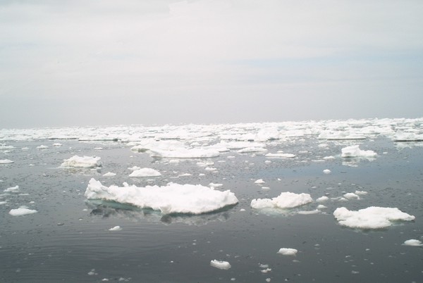 Iceberg02.jpg (40427 bytes)