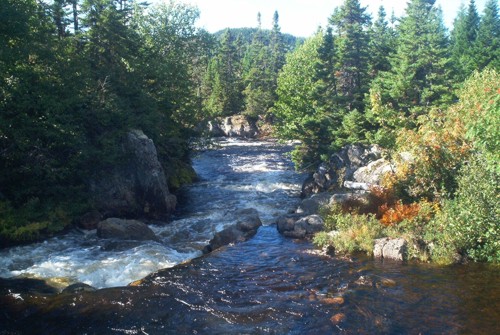 brook.jpg (75047 bytes)