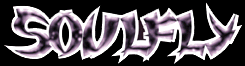 www.soulflytribe.com