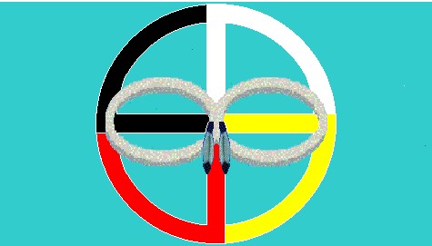 Metis Nation of the South Flag></CENTER><BR>
                      <FONT FACE=