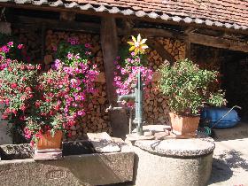Pump and flowers