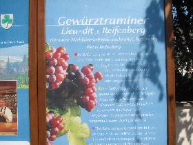 Grows grapes