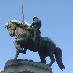 A splendid horse