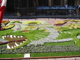 Lovely garden