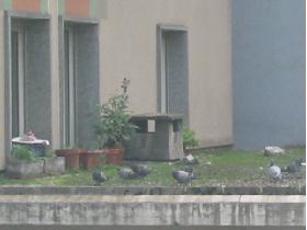 Neighbours