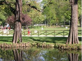 Water wanders through the park