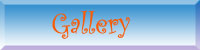 welcome to gallery