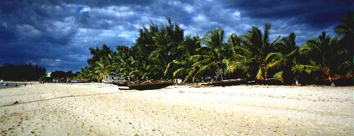 "Strand in Ifaty" (Madagascar) door Kozzinneke Hilde