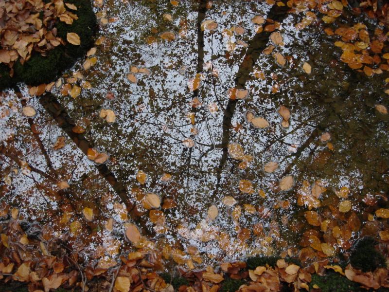 Boven of Onder door Kozze Frank