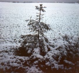 Winter '89 - '90