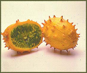 Kiwanos