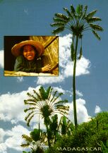 Madagascar