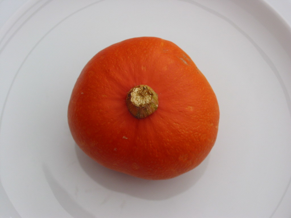 DE POMPOEN !!! (Klik voor meer pompoenfoto's)