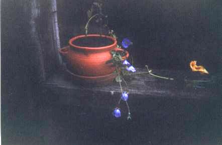 Maarten heeft de pompoenplantpot versierd