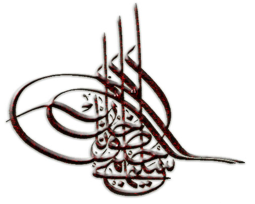 Resim