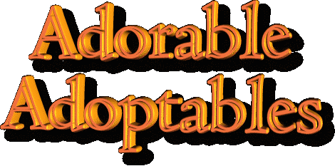 adoptables2.gif - 22613 Bytes