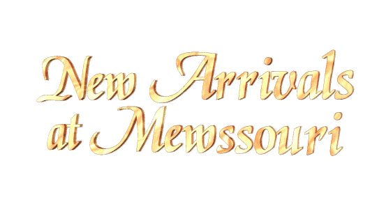New arrivals at Mewssouri