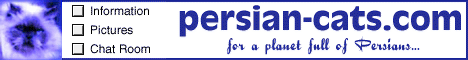 persian-cats.com